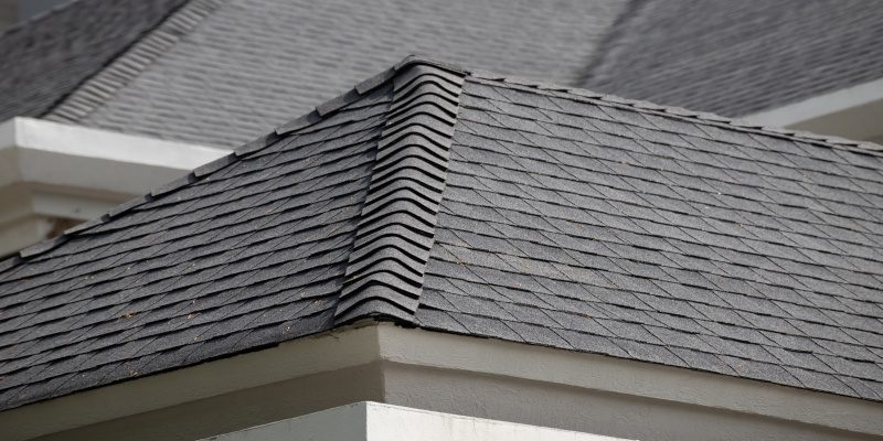 Types of Roofs in Dothan, Alabama