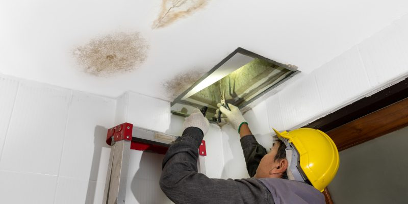 What You Should Know about Our Roof Leak Detection Services